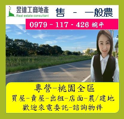 桃園農地-1