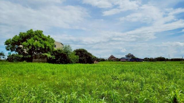 台南佳里農地-8