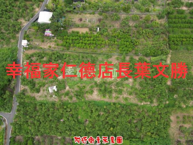 歸仁農地-11