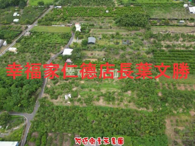 歸仁農地-13