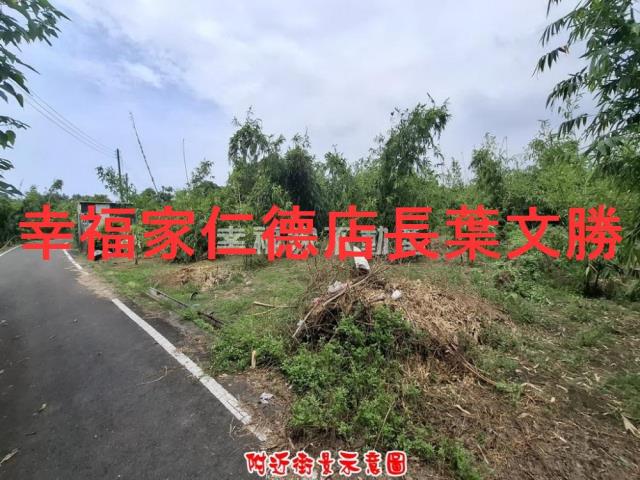 歸仁農地-2