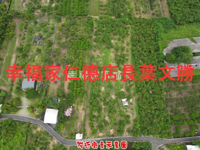 歸仁農地-3