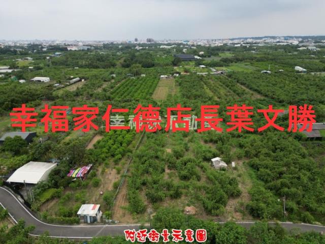 歸仁農地-8