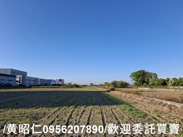 安定農地-3