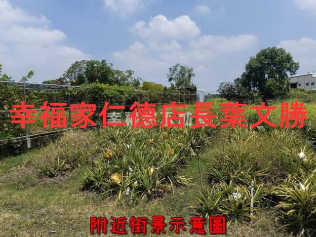 新化農地-14