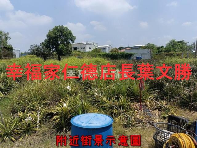 新化農地-5