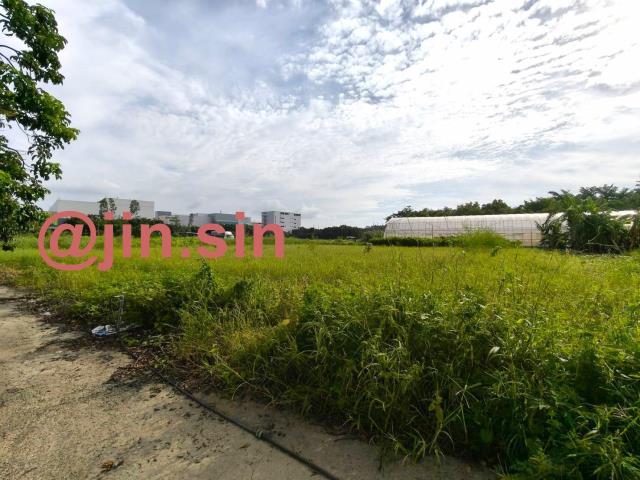 新市農地-3