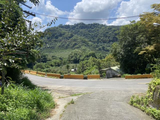 台中東勢農地-1