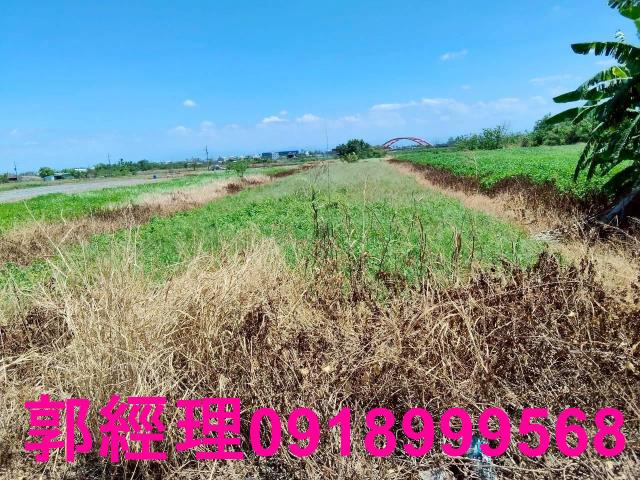 台南將軍農地-9