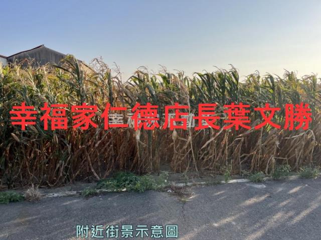 安定農地-11
