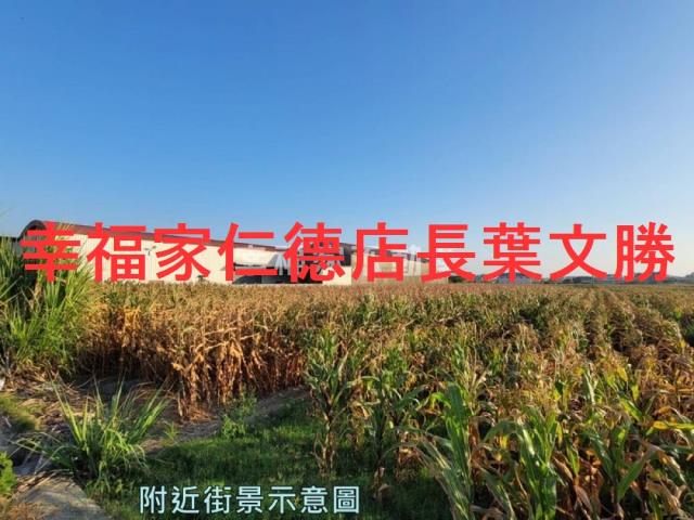 安定農地-13