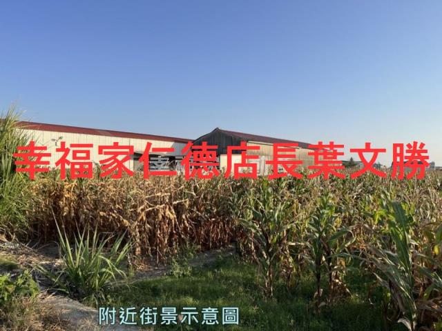 安定農地-8