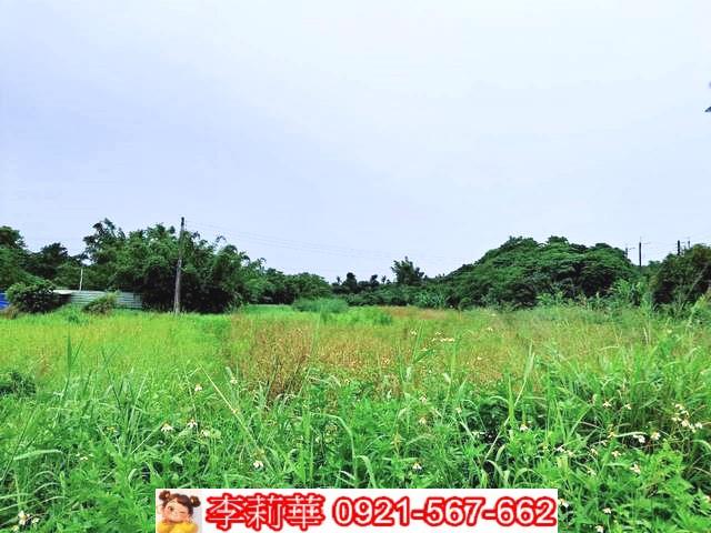 歸仁農地-5