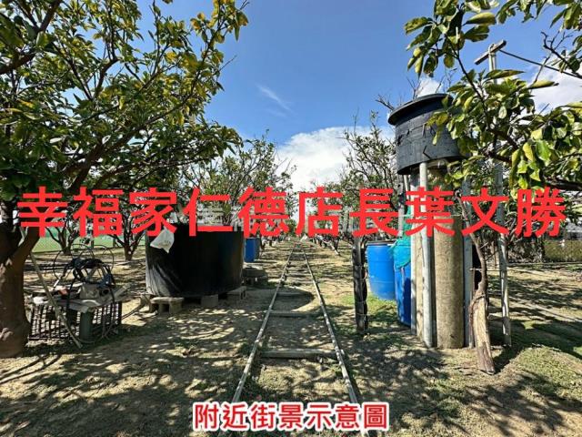 麻豆農地-4
