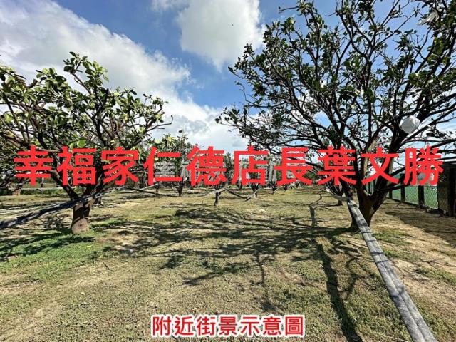 麻豆農地-7