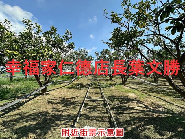 麻豆農地-9