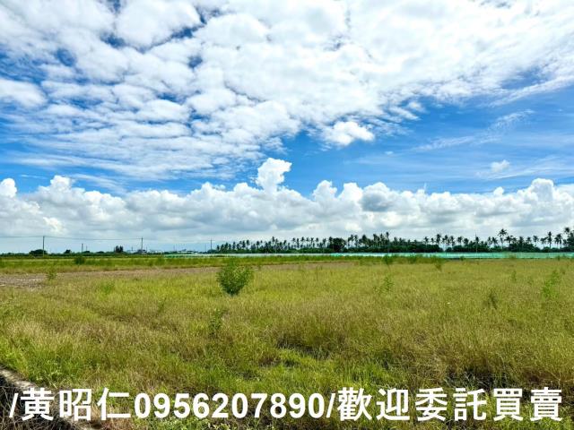 鹽水農地-4