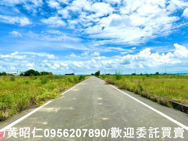 鹽水農地-5