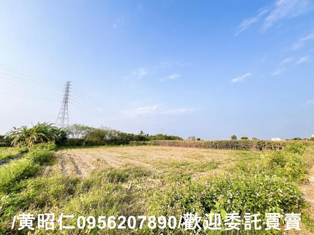 新營農地-4