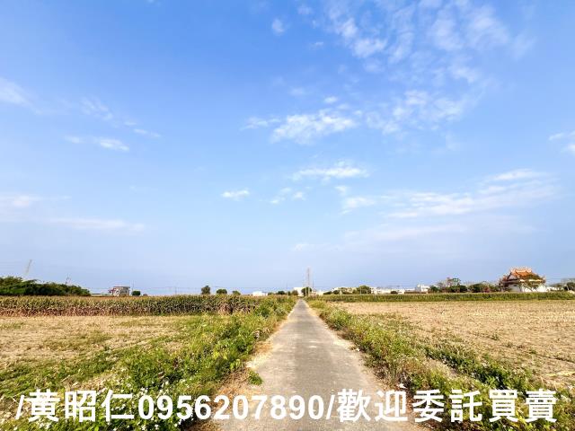 新營農地-5