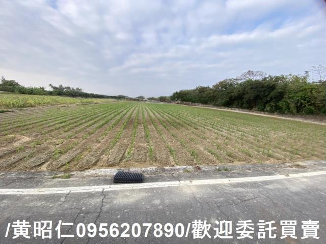新市農地-1