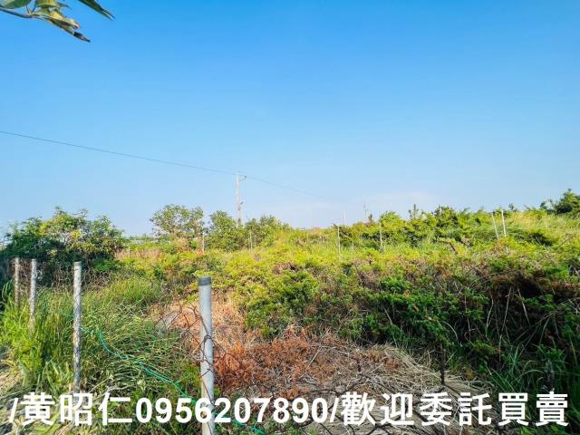 佳里農地-12