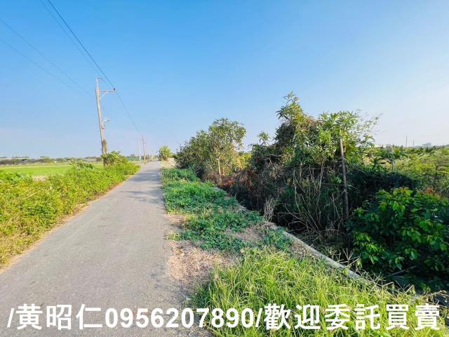 佳里農地-14