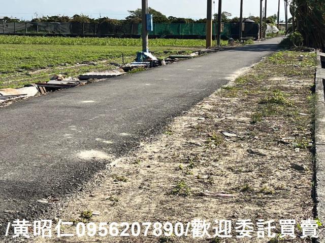 佳里農地-6