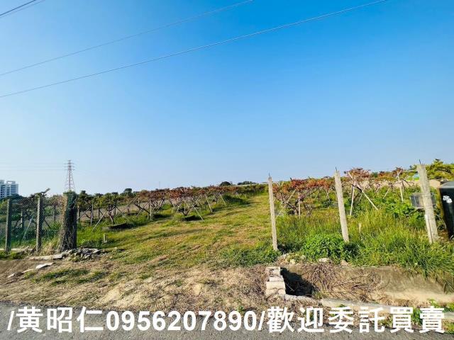 佳里農地-7