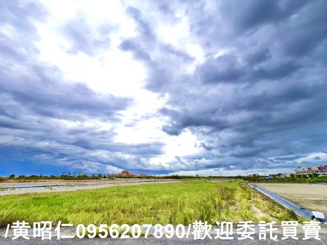 安南農地-3