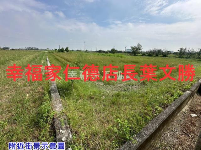 佳里農地-5