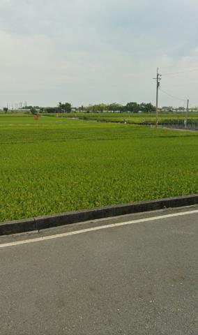 鹿草農地法拍-10