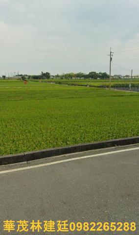 鹿草農地法拍-5