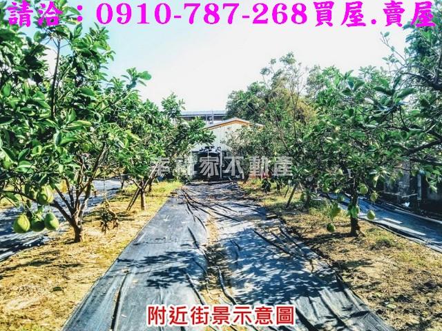 台南麻豆農地-9