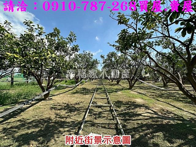 台南麻豆農地-10