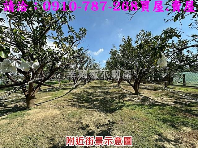 台南麻豆農地-11