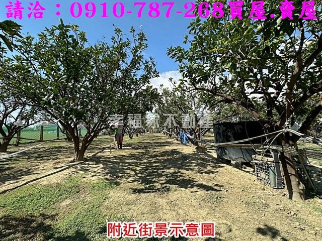 台南麻豆農地-12