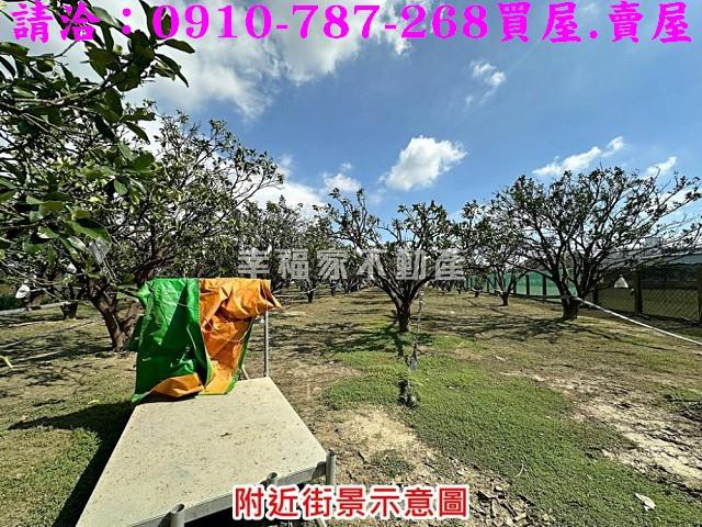 台南麻豆農地-14