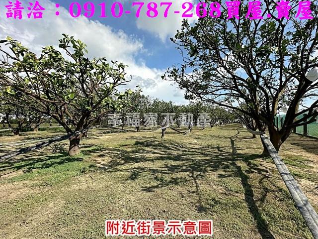 台南麻豆農地-15
