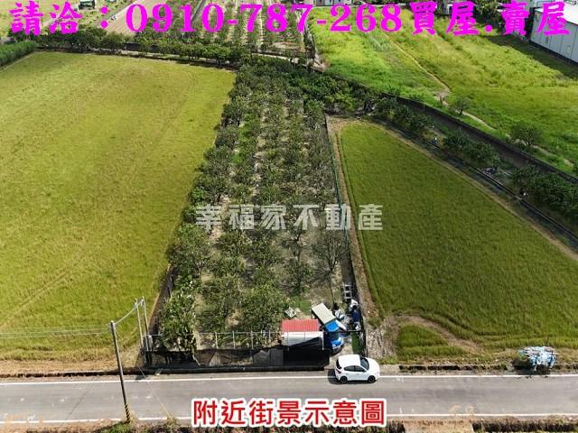 台南麻豆農地-1