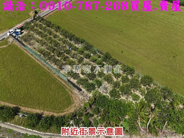 台南麻豆農地-3