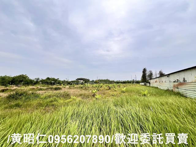 台南關廟農地-7