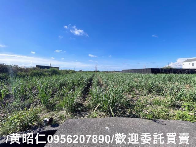 台南西港農地-13