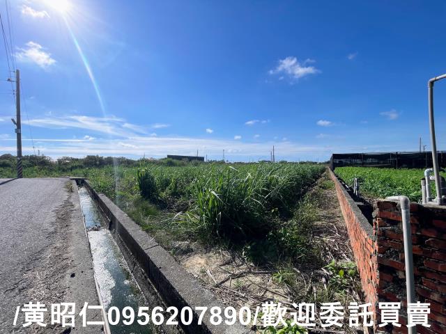 台南西港農地-2