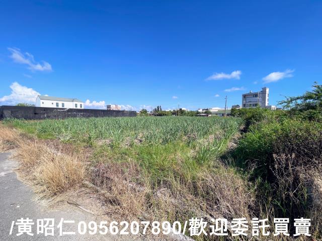 台南西港農地-3