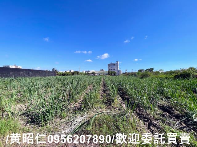 台南西港農地-6