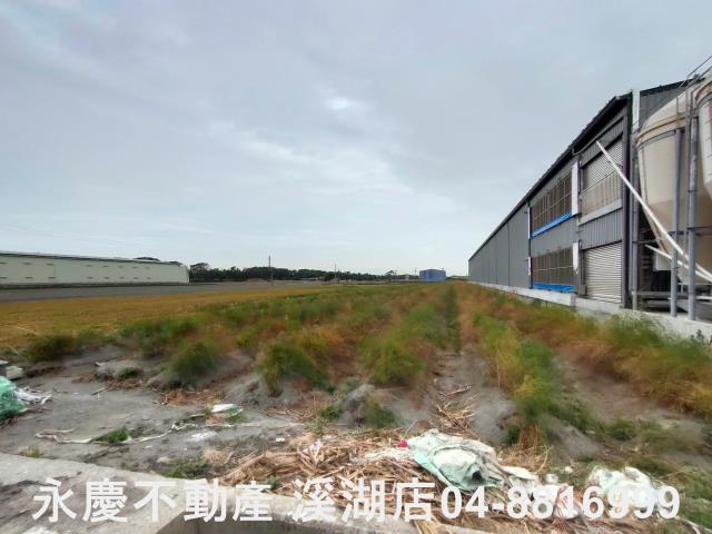 溪湖農地-8