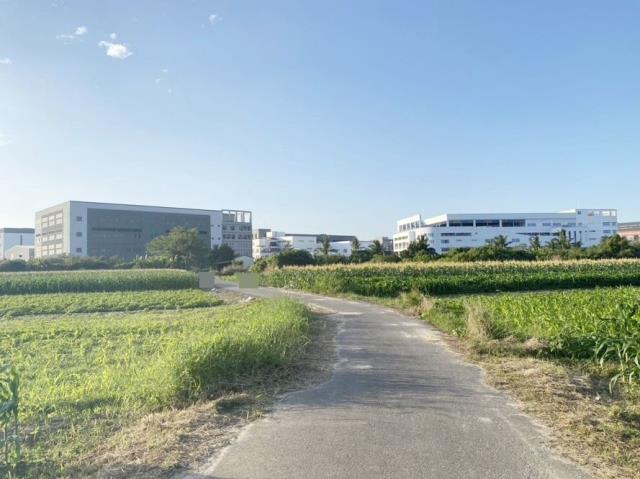 安南農地-5