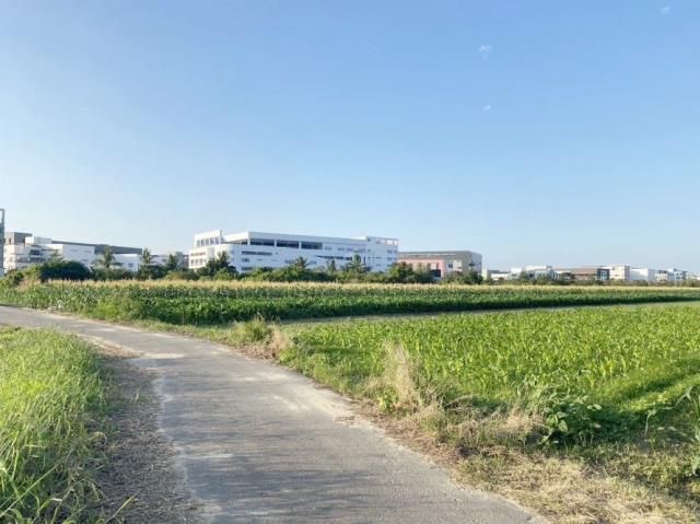 安南農地-6