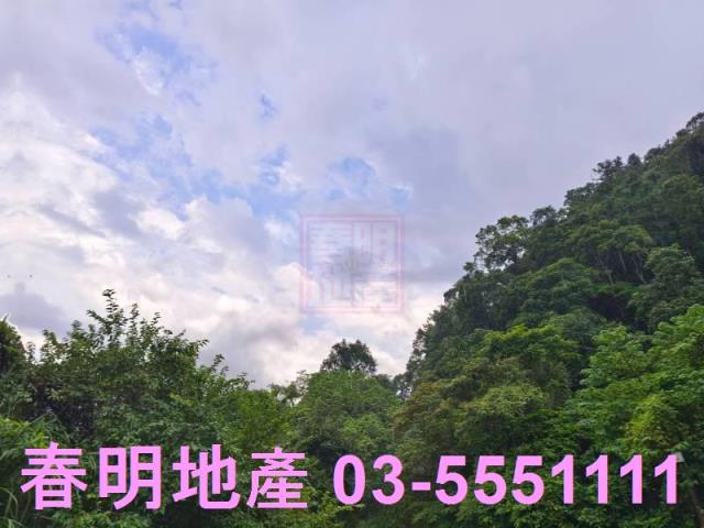 竹東林地-7